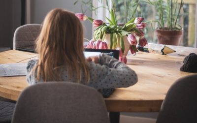 What makes a ‘quality’ remote learning platform for schools?