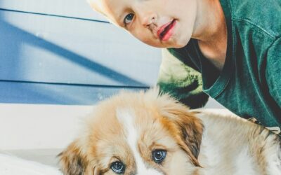 Calling All UK School Dogs!